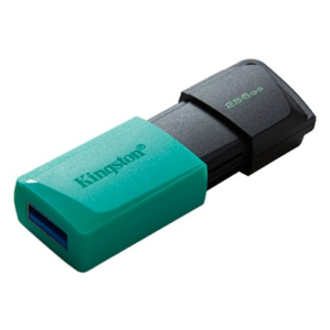 USB Fleš 256GB KINGSTON DTXM/256GB