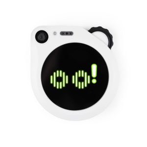 SenseCAP Watcher W1-B Transparent