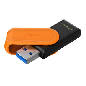 USB Flash 256 GB Kingston 3.2 Gen1 DTXS/256GB