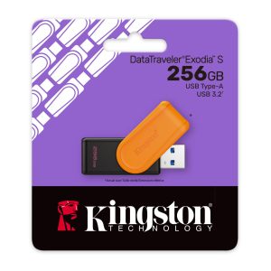 USB Flash 256 GB Kingston 3.2 Gen1 DTXS/256GB