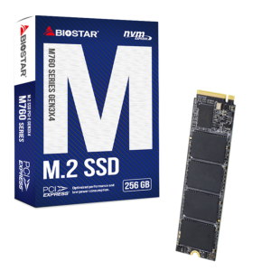 SSD M.2 NVME 256GB Biostar 2800MBs/1150MBs M760
